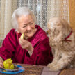 dog watches woman eat apple